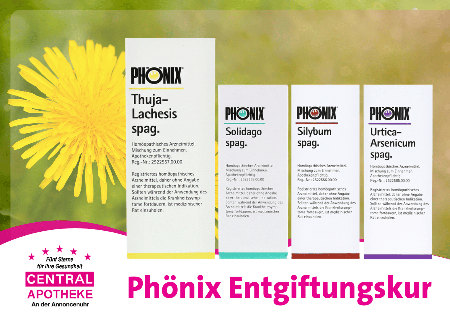 Phönix Entgiftungskur Frühjahr Detox pflanzlich